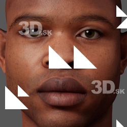 Denton Allen Metahuman Diffuse Head Skin