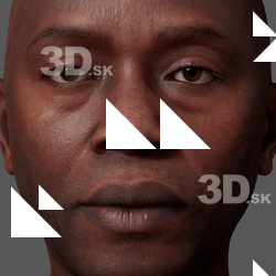 Dimetrice Moss Metahuman Diffuse Head Skin