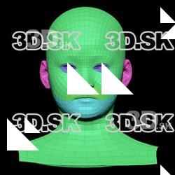 Retopologized 3D Head scan of Furusawa Kumi SubDivision