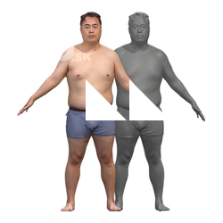 Nui Thay Clean A Pose Scan Clothed