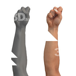Mona Raw Flexing Hand Muscle Scans
