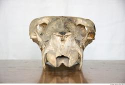 Skull