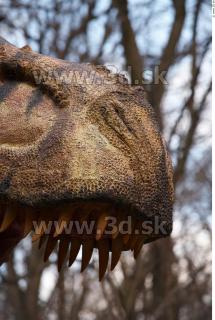 Thyranosaurus 0080
