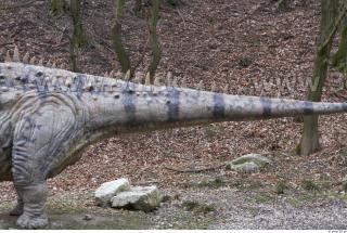 Diplodocus