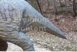Whole Body Tail Dinosaurus-Triceratops Animal photo references