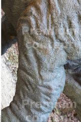 Thigh Whole Body Dinosaurus-Triceratops Animal photo references
