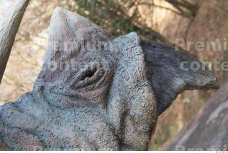 Triceratops