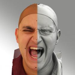 3D head scan of emotions and phonemes - Viktor