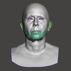 Retopologized 3D Head scan of Alena SubDivision
