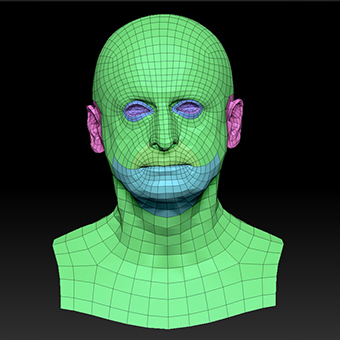 Head Man White Bald 3D Retopologised Heads