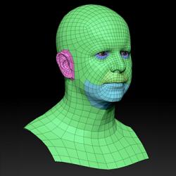 Retopologized 3D Head scan of Martin SubDivision