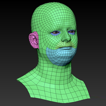 Head Man White Bald 3D Retopologised Heads