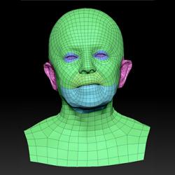 Retopologized 3D Head scan of Ludmila SubDivision