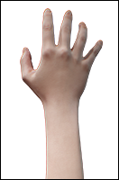 Lady Winters Retopo Hand Scan