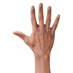 Orien Morgan Retopo Hand Scan