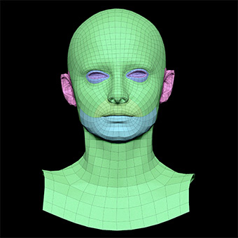 Head Woman White 3D Retopologised Heads