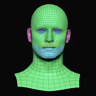 Head Man White Bald 3D Retopologised Heads