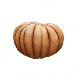 Cleaned Pumpkin 3D Scan