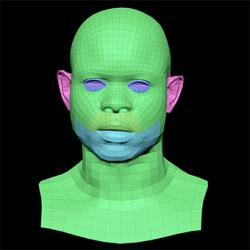 Retopologized 3D Head scan of Denton Allen SubDivision
