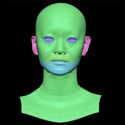 Retopologized 3D Head scan of Miyaguchi Hoshie SubDivision