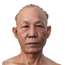 Shiba Masakazu Raw Head Scan