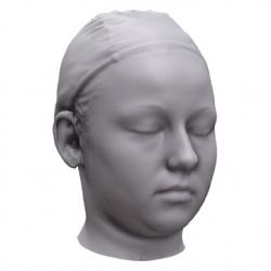 Nikol Base Head Scan