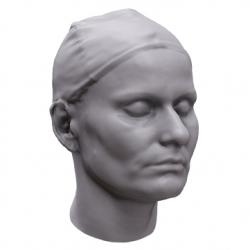 Katty Base Head Scan