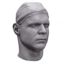 Nikolai Base Head Scan