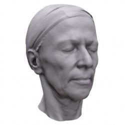 Jaina Base Head Scan