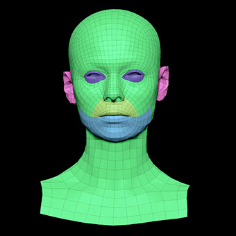 3D Retopologised Heads