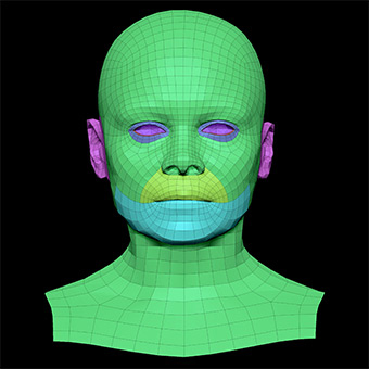 3D Retopologised Heads