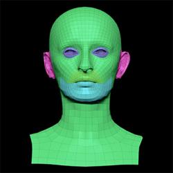 Retopologized 3D Head scan of Waja SubDivision