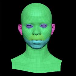 Retopologized 3D Head scan of Senedra Graves SubDivision