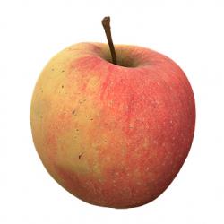 Food_Apple_3D_Scan