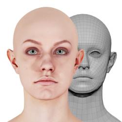 Retopologized 3D Head scan of Figgy