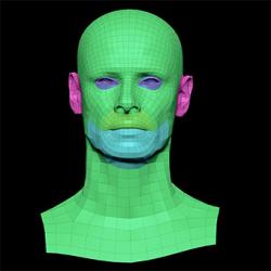 Retopologized 3D Head scan of Emery Hewitt SubDivision