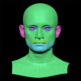 3D Retopologised Heads